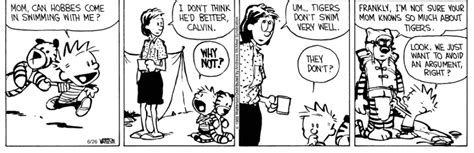 Calvin And Hobbes Page 99 —