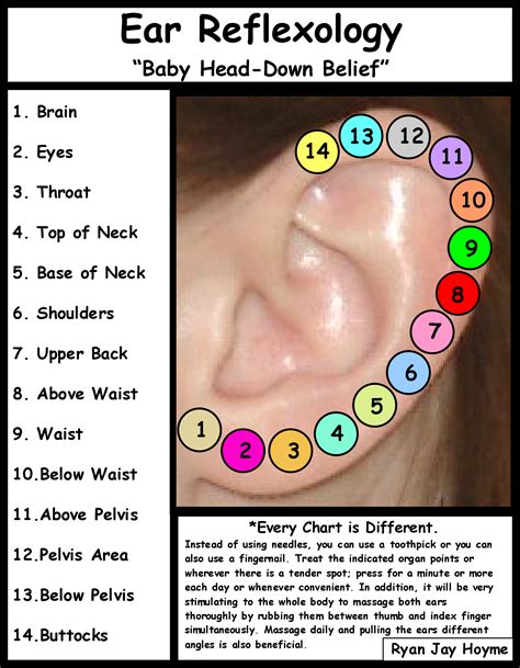 Reflexology Massage - Massage, Massage Videos, Massage ...