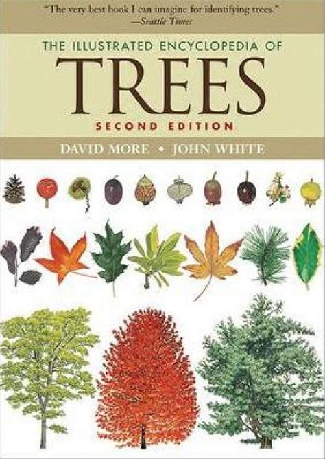 The Illustrated Encyclopedia Of Trees Nhbs Academic And Professional Books