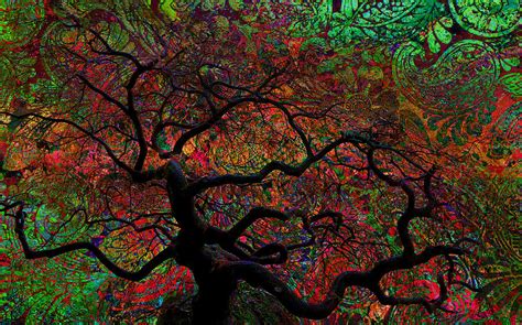 Tree Fabrica Abstract Graphic Digital Art By Mary Clanahan