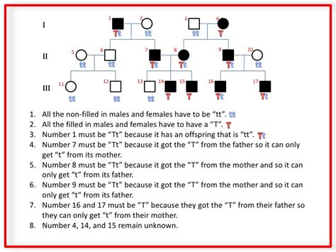 Genetics pedigree worksheets also work in helping parents to select specific features of a child. Pedigree Basics!