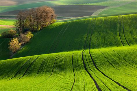 From middle english field, feeld, feld, from old english feld (field; Moravia - Czech Republic - World for Travel