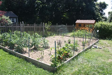 20 Things To Know About Vegetable Garden Fence Chicken