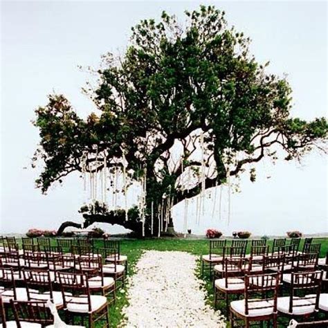 Rose Wedding Weddings Ceremony Spaces 2046365 Weddbook