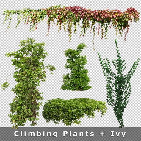 Cutout Plants V04 Graphics For Landscape Architecture Visualization