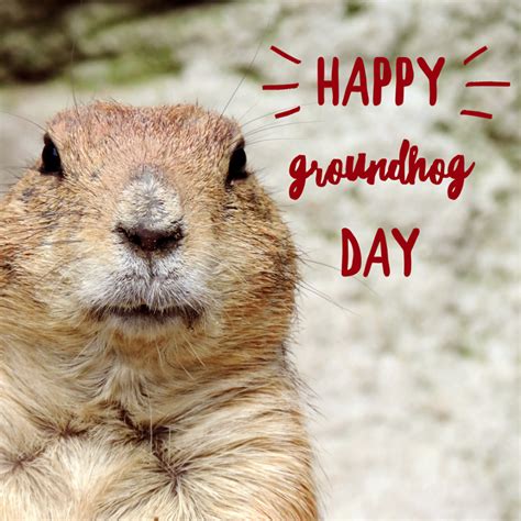 Happy Groundhog Day Will He See His Shadow Groundhogday Happy