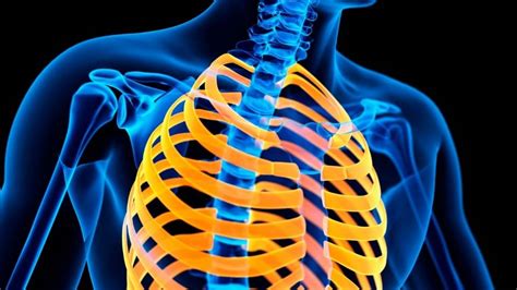 Thoracic Rib Subluxation Understanding And Effective Treatment