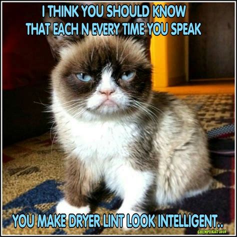 Another Grumpy Cat Meme By The Other Grumpy Kat 2018 Dryer