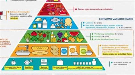 La Guía De La Alimentación Saludable Incorpora Recomendaciones Para Patologías Frecuentes