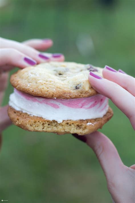 White Chocolate Cranberry Cookie Marshmallow Sandwiches - kreativfieber ...