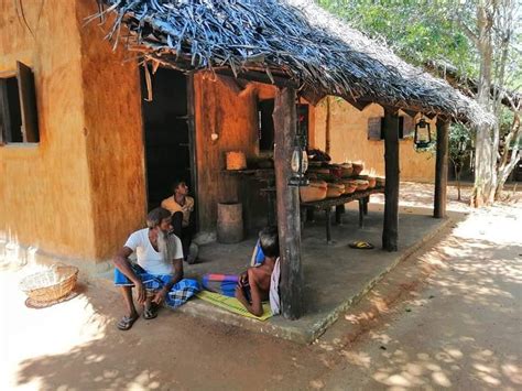 Ayubowan The Rural Village Life Tripradar Sri Lanka Facebook