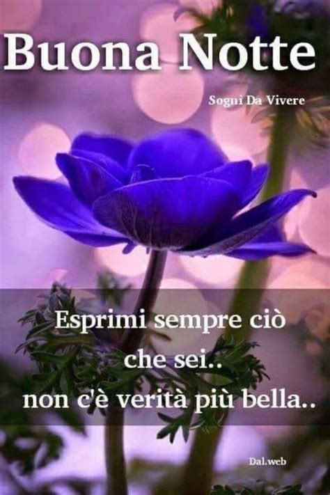 Cerchi delle frasi o immagini belle per il tuo profilo whatsapp? Buonanotte con i fiori 10 foto con frasi belle - Bgiorno.it