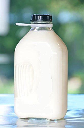 2 Qt Heavy Glass Milk Bottle With Handle And Cap 64 Oz 12 Gal