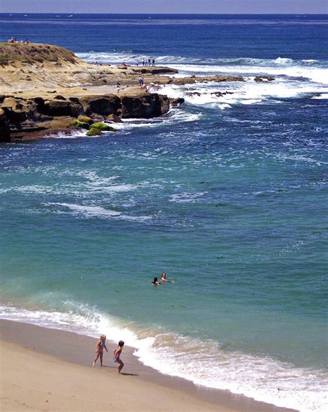 Even though we have a pier dog, no dogs allowed please! The Best Beaches in San Diego in 2020 | Ocean beach san ...