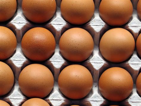 무료 이미지 식품 갈색 먹다 닫다 힘 다채로운 달걀 동물 사료 계란 바구니 3872x2902