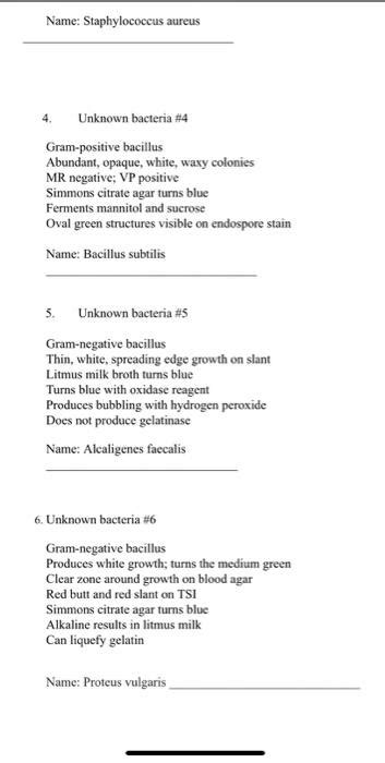 Solved Name Staphylococcus Aureus 4 Unknown Bacteria 4