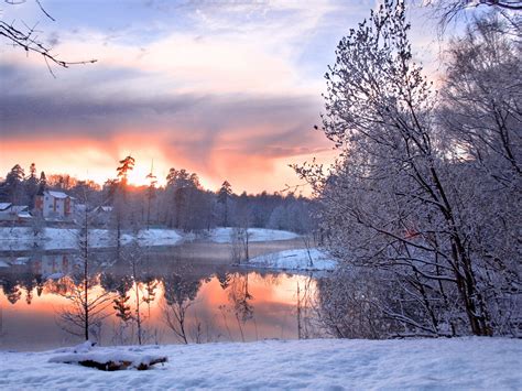 Wallpaper Cold Winter Snow And Ice Season Trees Houses Ponds
