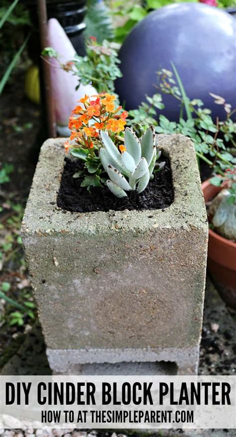 Build Cinder Block Gardens to Make the Yard Look Amazing • The Simple