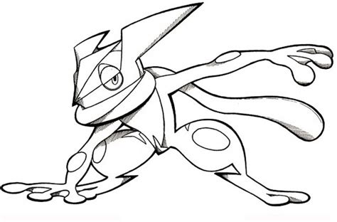 Dibujos De Greninja De Pokemon Para Colorear Pintar E Imprimir 620