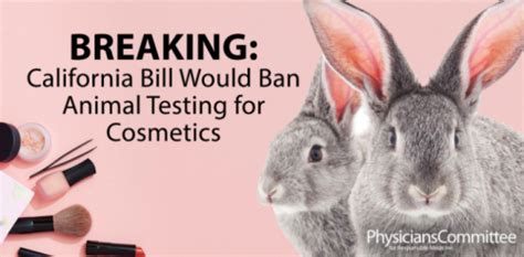 Is California About To Ban The Sale Of All Cosmetics Tested On Animals