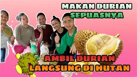Identifikasi jenis durian dan hama penyakitnyaподробнее. MAKAN DURIAN SEPUASNYA LANGSUNG DI POHONNYA || DURIAN ...