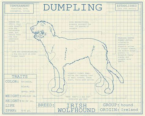Irish Wolfhound Dog Breed Blueprint