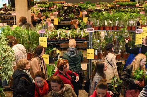 Festiwal Roślin Na Pge Narodowym W Warszawie To Największa Wyprzedaż