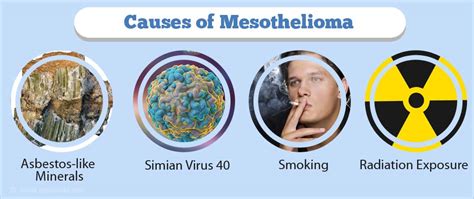 Mesothelioma treatments include surgery, radiation and chemotherapy. Know the Differences Between Mesothelioma and Asbestosis