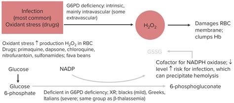 This is because males have only one copy of the g6pd. G6PD Deficiency (Glucose-6-Phosphate-Dehydrogenase Deficiency)