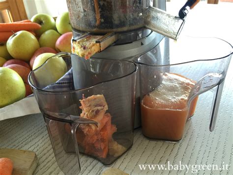 Succo di frutta fatto in casa. Succhi di frutta fatti in casa per bambini - BabyGreen