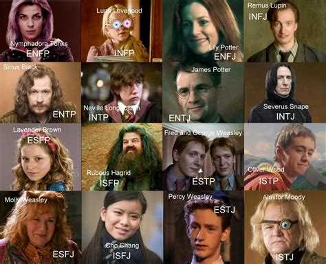 Harry Potter Myers Briggs Types Infp Mbti Character Mbti Porn Sex Picture