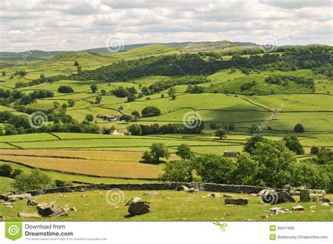 Yorkshire Dales Hay Meadows Stock Image Image Of Forests Farm 36411839