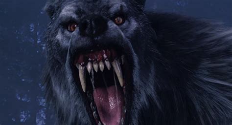 Sam and dean encountered werewolves when they were quite young. Grey Werewolf | Villains Wiki | Fandom
