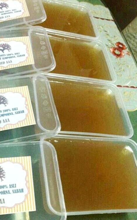 Di negara indonesia budidayanya semakin. DUNIAKU - Rashidah Ibrahim: Wajah Kembali Bersih dan Tegang!