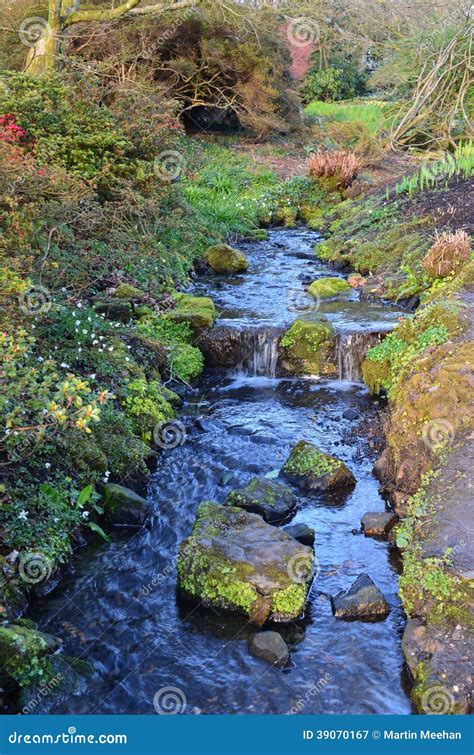 Woodland Stream With Waterfall Stock Image Image Of Landscaped