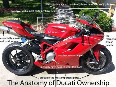Your dubious guide to the world of bikes. The Anatomy of Ducati Ownership | Motorcycle, Hot bikes ...