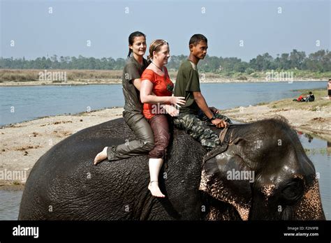 Elephant Bathing With Tourists In Rapti Rapoti River In Royal Chitwan National Park Nepal