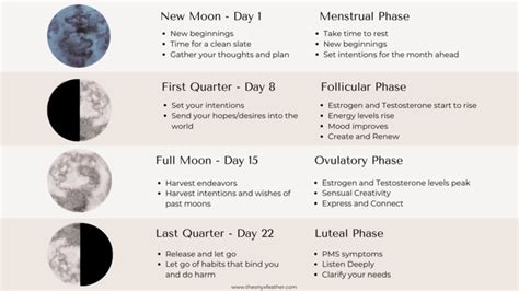 Moon Phases And Your Menstrual Cycle — The Onyx Feather Menstrual
