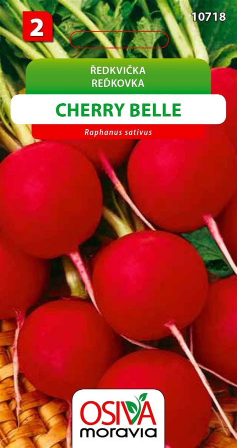 Ředkvička Cherry Belle Osejcz