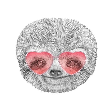 Sloth In Love Portrait Of Sloth With Sunglasses Stock Illustration