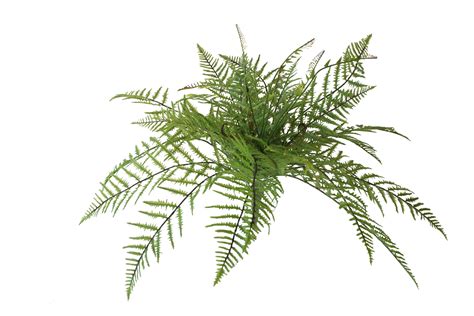 Artificial Fern Bush Cm Greenery Imports