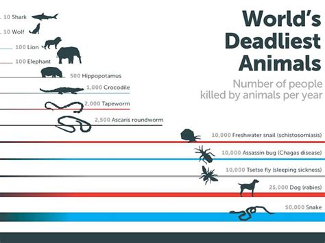 Bill Gates Mind Blowing Infographic Mosquitoes Business Insider
