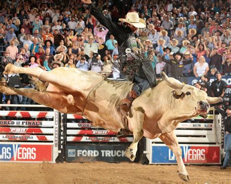07.04.2020 · a riding bull full italian movie by film&clips salvatore is a man in every respect, just like the bull he rents to impregnate his cows. Rodeo Wallpapers - Wallpaper Cave