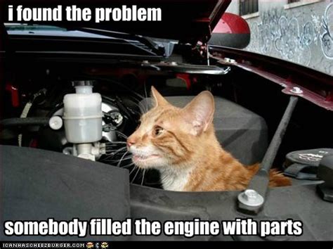 Mechanic Cat Is On The Job Lolcats Lol Cat Memes Funny Cats