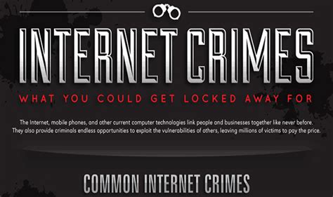 Internet Crimes Infographic Visualistan