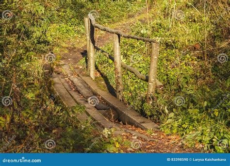 Small Bridge In The Forest Stock Photo Image Of Concrete 83398590