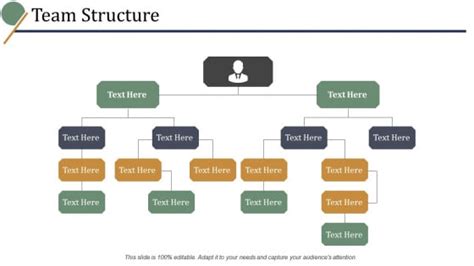 Team Structure Ppt Powerpoint Presentation Styles Template Powerpoint