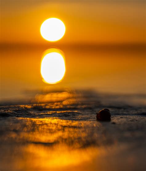 Darmowe Zdjęcia : zachód słońca, woda, muszla, słońce, horyzont, wschód ...