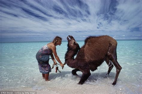 A new broom sweeps clean. Photographs capture Robyn Davidson's 1700 mile trek across ...