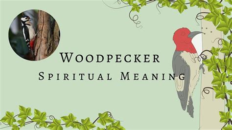 3 Reasons Why You See The Woodpecker Woodpecker Spiritual Meaning